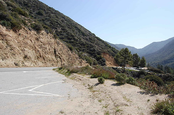 DSC 0079