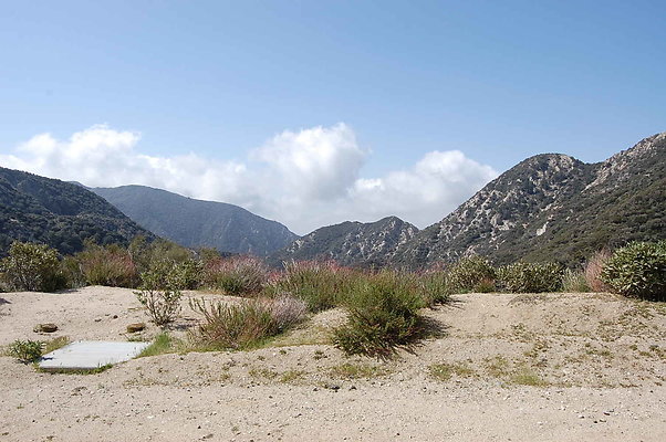 DSC 0075