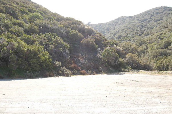 DSC 0050