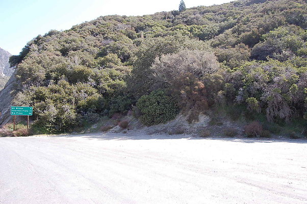 DSC 0049
