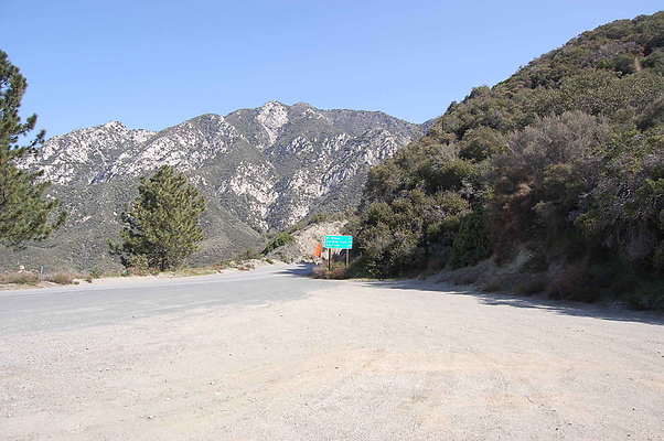 DSC 0041