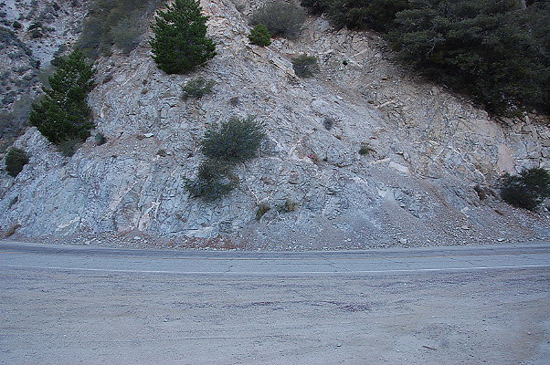 DSC 0338