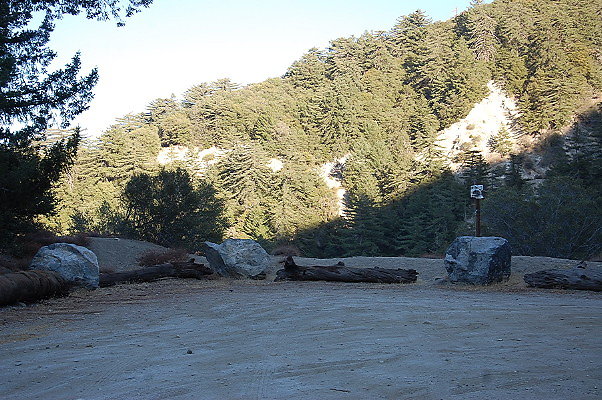 DSC 0334