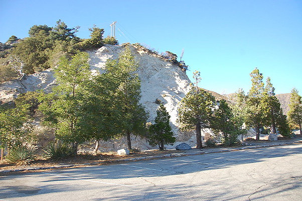 DSC 0341
