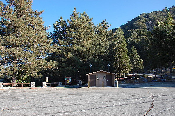 DSC 0343