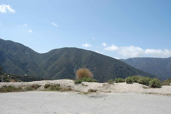 DSC 0295