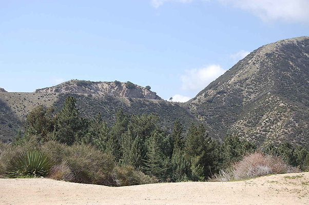 DSC 0218