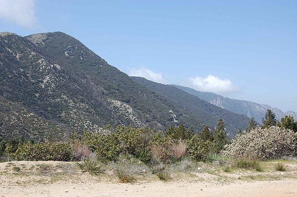 DSC 0219
