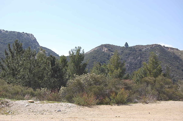 DSC 0217