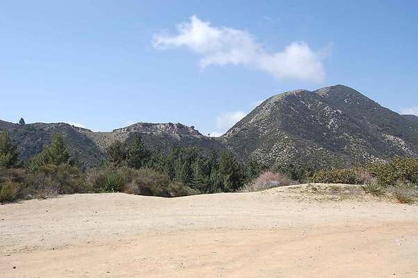 DSC 0215