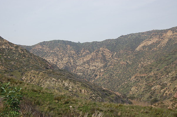 DSC 0084