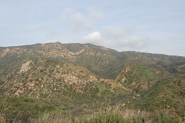 DSC 0079