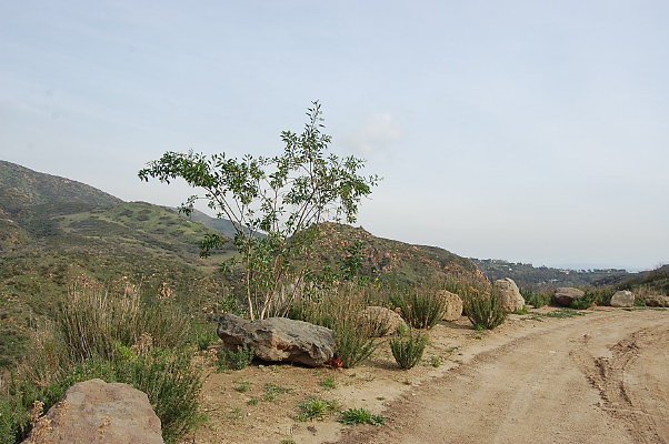 DSC 0080