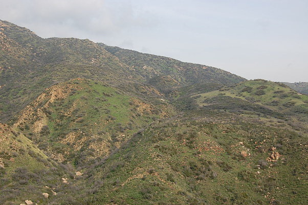 DSC 0086