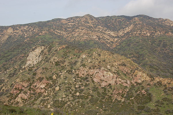 DSC 0085