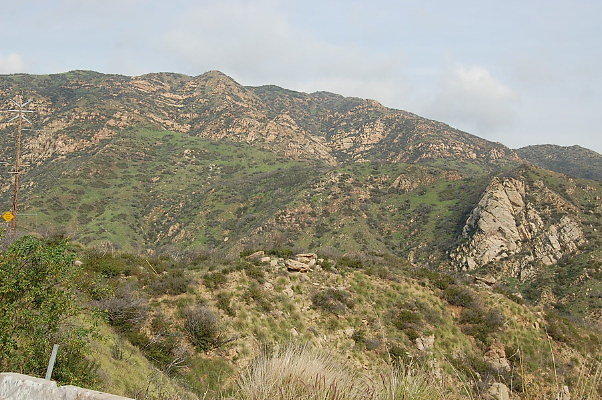 DSC 0095