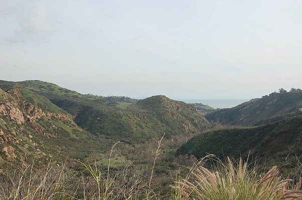 DSC 0097