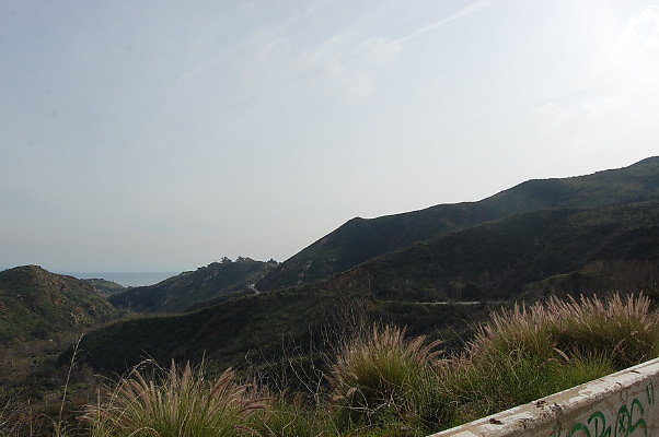 DSC 0090