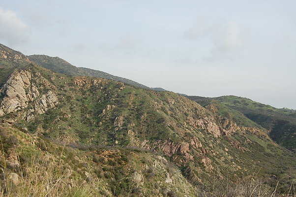 DSC 0096