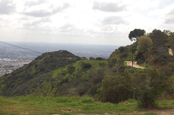 DSC 0045
