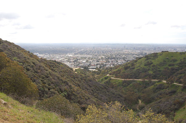 DSC 0069