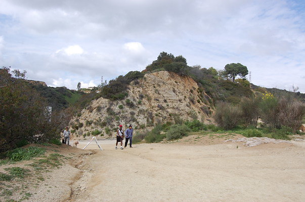 DSC 0066
