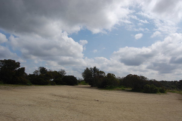 DSC 0059
