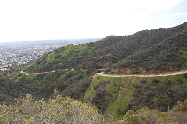 DSC 0073