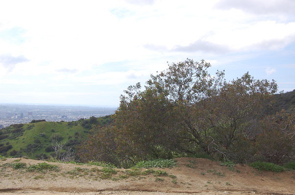 DSC 0058