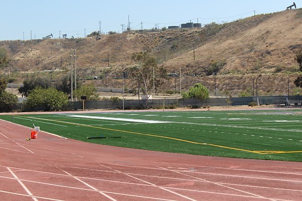 WLA.FIeld.06