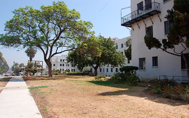 DSC 0117