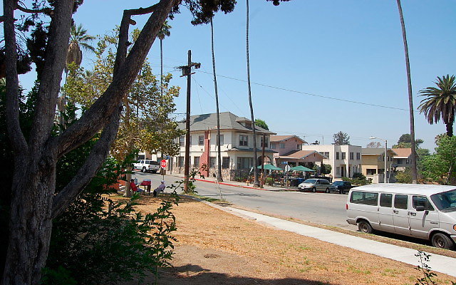 DSC 0123