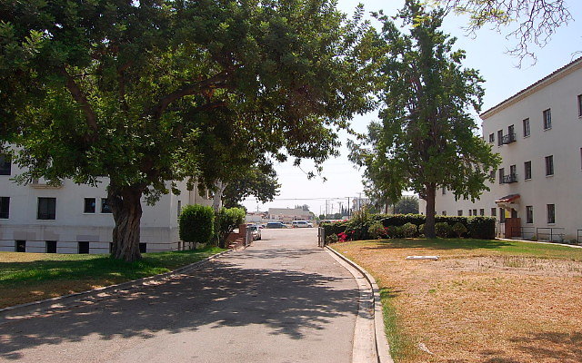 DSC 0115