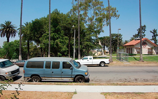 DSC 0124