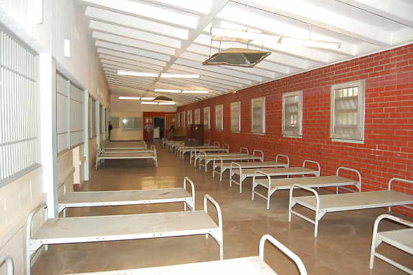 DSC 0229
