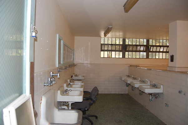 DSC 0231
