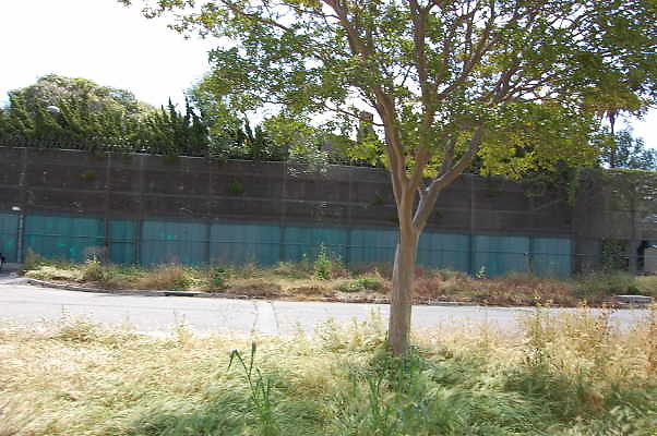 DSC 0239