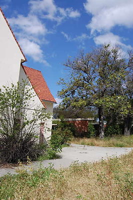 DSC 0235