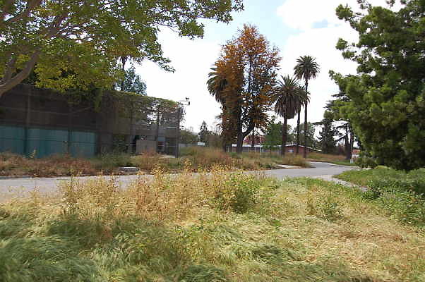 DSC 0240