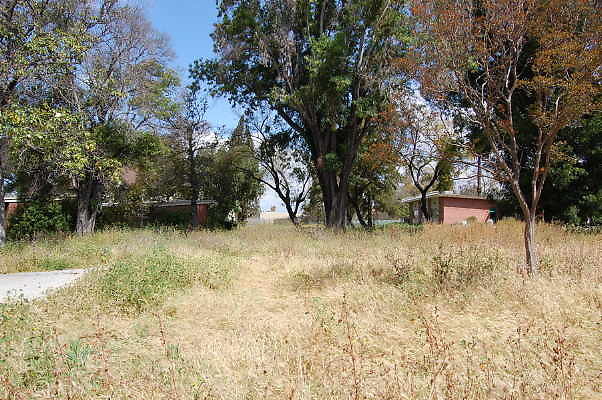 DSC 0236