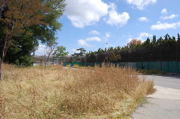 DSC 0237