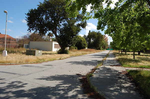 DSC 0143