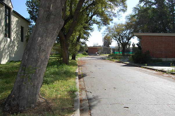 DSC 0016