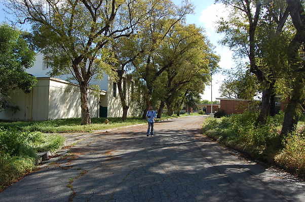 DSC 0019