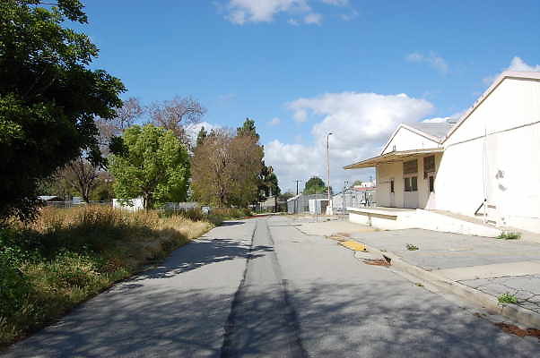DSC 0104