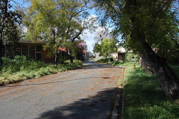 DSC 0017