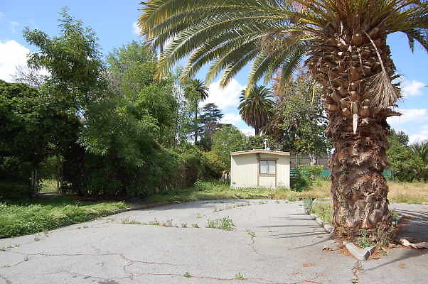 DSC 0260