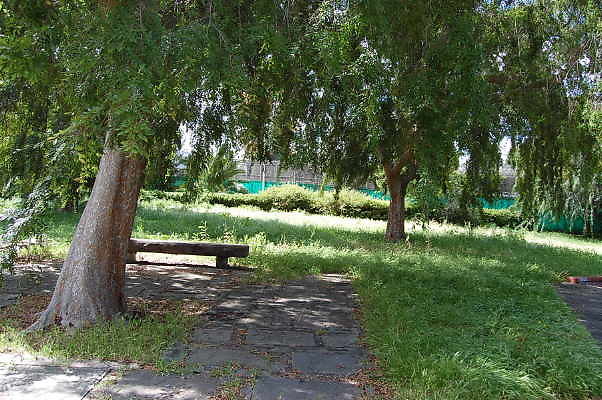 DSC 0271
