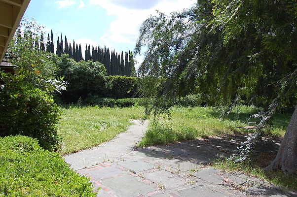 DSC 0270