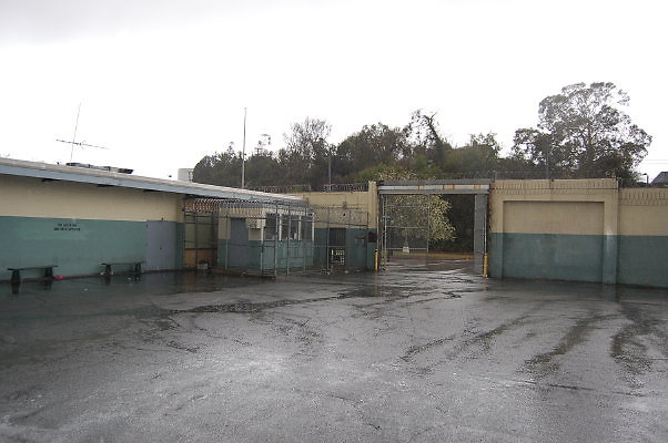 DSC 0121